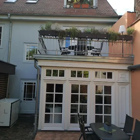 Junger Moritz * Erfurt